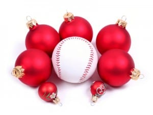 Slowpitch Baseball Bat Gift Guide